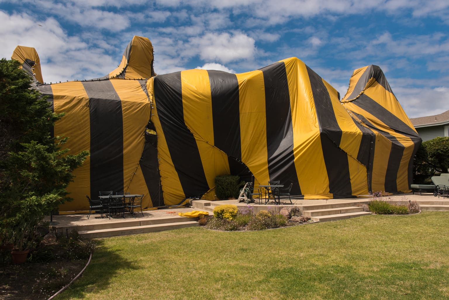 Home being fumigated by 101 Exterminators — yellow and black striped tent