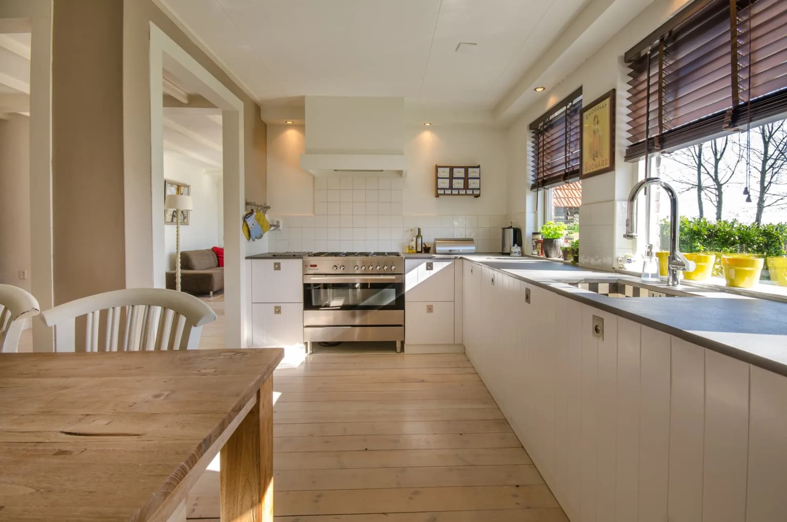 Clean, well-maintained kitchen — pest prevention protects your home and family from infestations