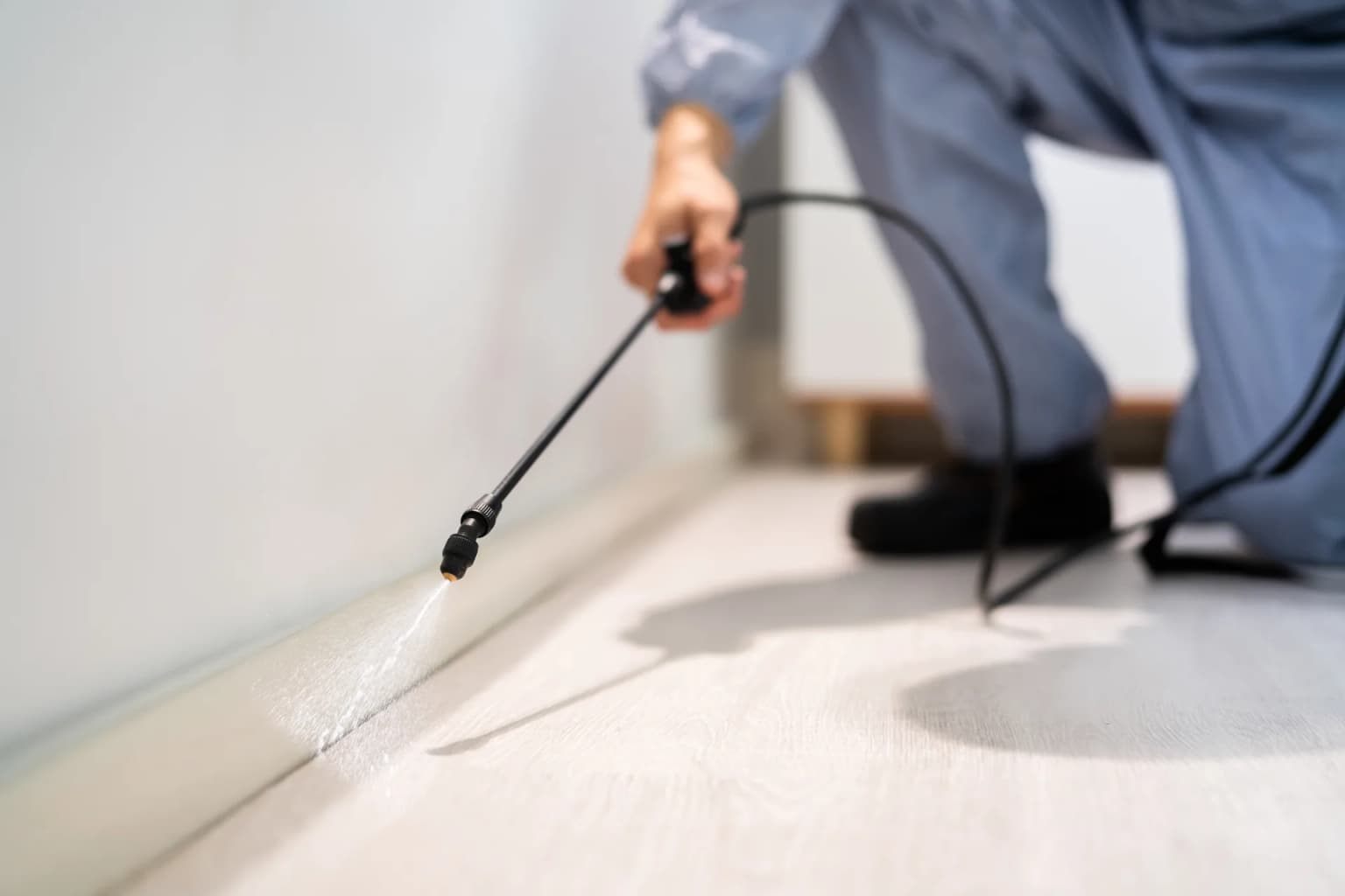 Pest control technician applying targeted baseboard treatment — professional pest control eliminates fruit flies at the source