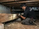101 Exterminators licensed technician — CA SPCB certified